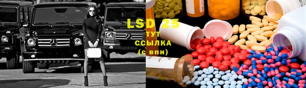 ГАЛЛЮЦИНОГЕННЫЕ ГРИБЫ Дмитриев