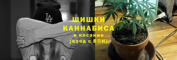 ГАЛЛЮЦИНОГЕННЫЕ ГРИБЫ Дмитриев