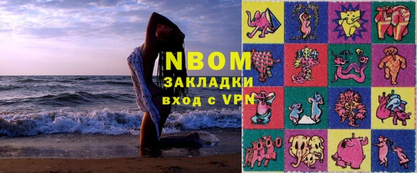 ГАЛЛЮЦИНОГЕННЫЕ ГРИБЫ Дмитриев
