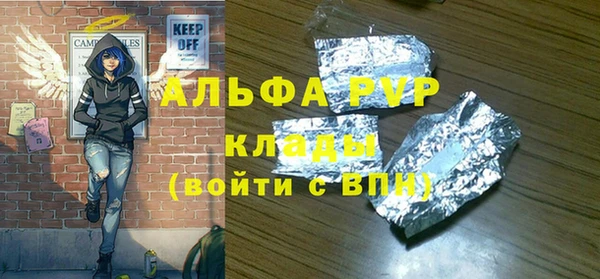 ГАЛЛЮЦИНОГЕННЫЕ ГРИБЫ Дмитриев