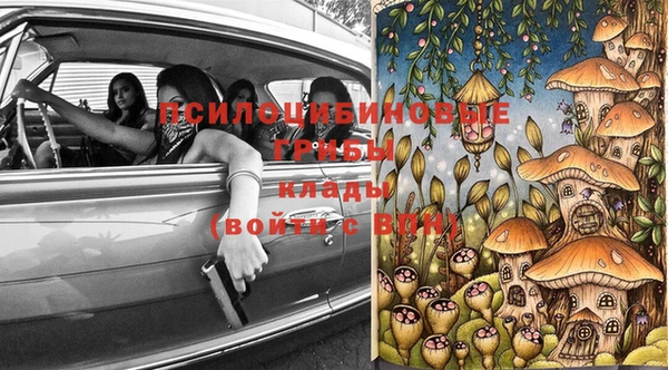 ГАЛЛЮЦИНОГЕННЫЕ ГРИБЫ Дмитриев
