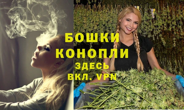 ГАЛЛЮЦИНОГЕННЫЕ ГРИБЫ Дмитриев