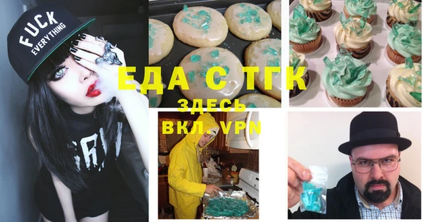 ГАЛЛЮЦИНОГЕННЫЕ ГРИБЫ Дмитриев