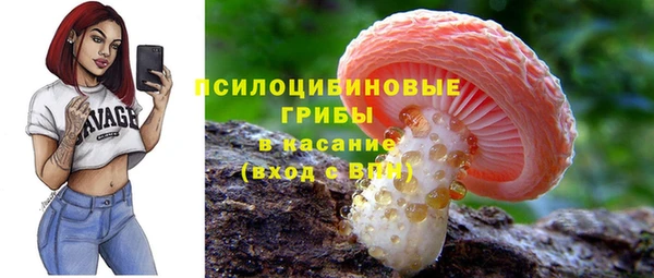 ГАЛЛЮЦИНОГЕННЫЕ ГРИБЫ Дмитриев