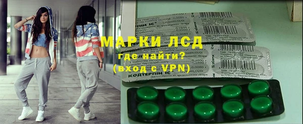 ГАЛЛЮЦИНОГЕННЫЕ ГРИБЫ Дмитриев