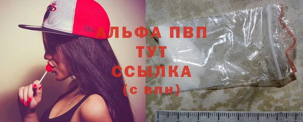 ГАЛЛЮЦИНОГЕННЫЕ ГРИБЫ Дмитриев