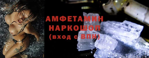 ГАЛЛЮЦИНОГЕННЫЕ ГРИБЫ Дмитриев