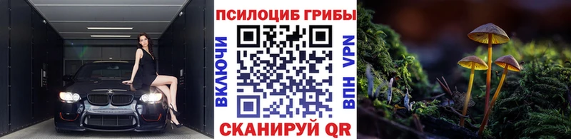 Купить закладки  Иннополис  Галлюциногенные грибы мицелий 